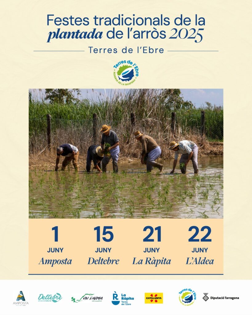 festes arros delta ebre rapita